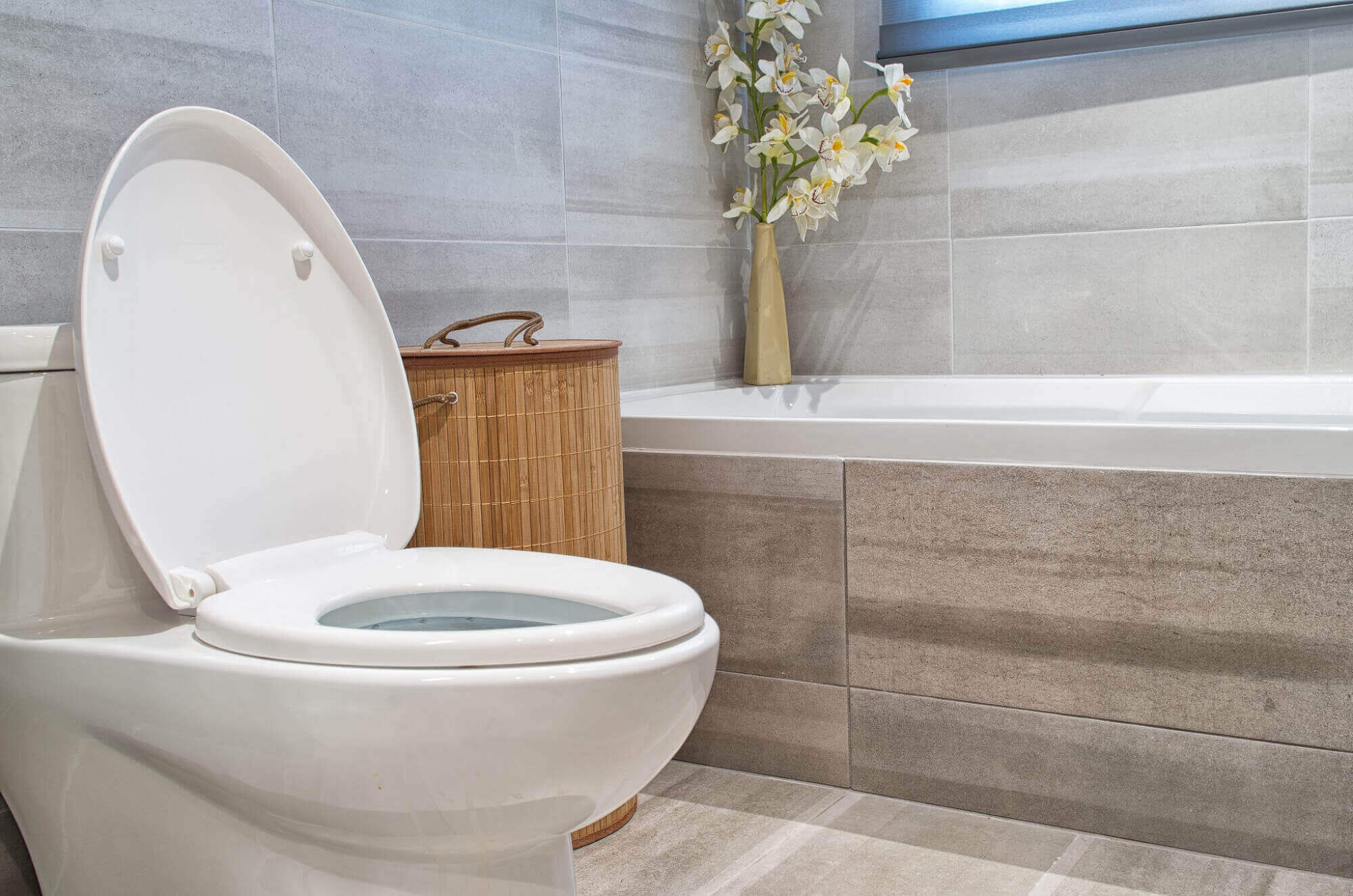 Toilet Buying Guide What Toilet Is Best For Your Home Or Business?