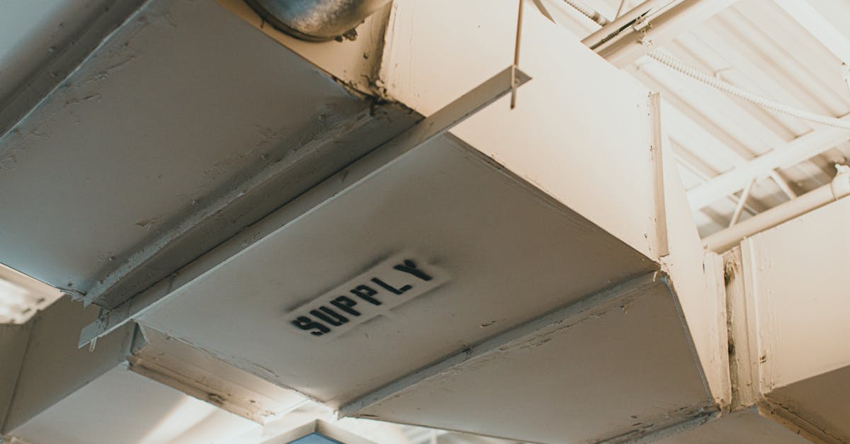 Featured image for “How Dirty Air Ducts Can Make Spring Allergies Worse in Memphis”